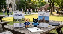 Korea's '300K' vs Japan's '400K' Population Cliff: The 'Global Talent War'